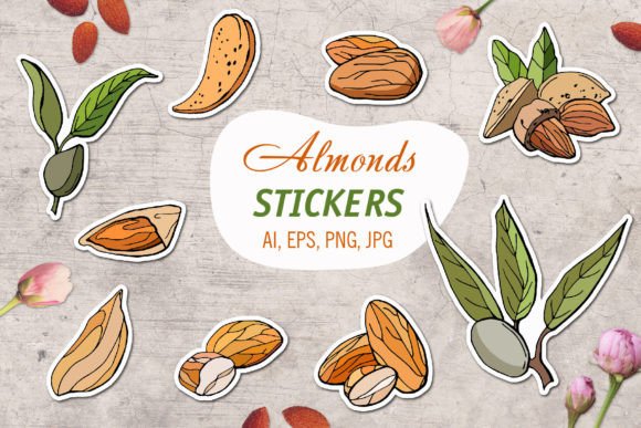 Download Almond/ Printable Stickers Cricut Design - Cricut design Collection
